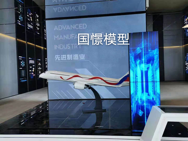 青浦区飞机模型