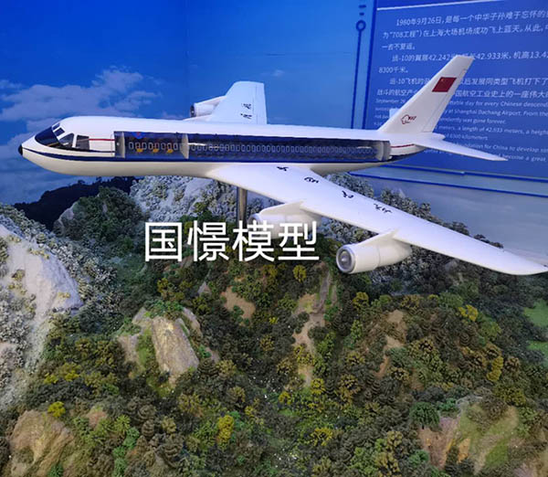 青浦区飞机模型