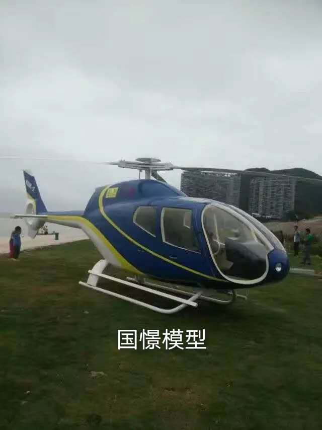 青浦区飞机模型