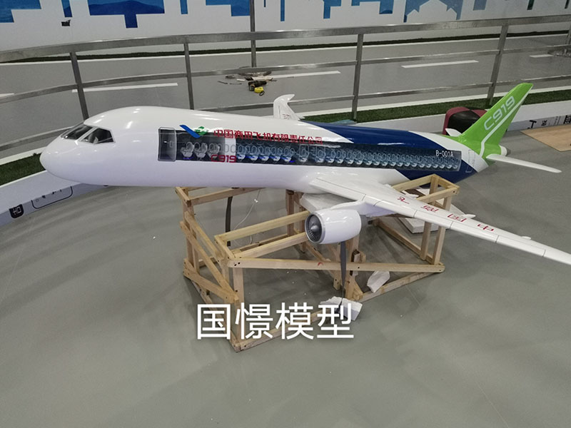 青浦区飞机模型