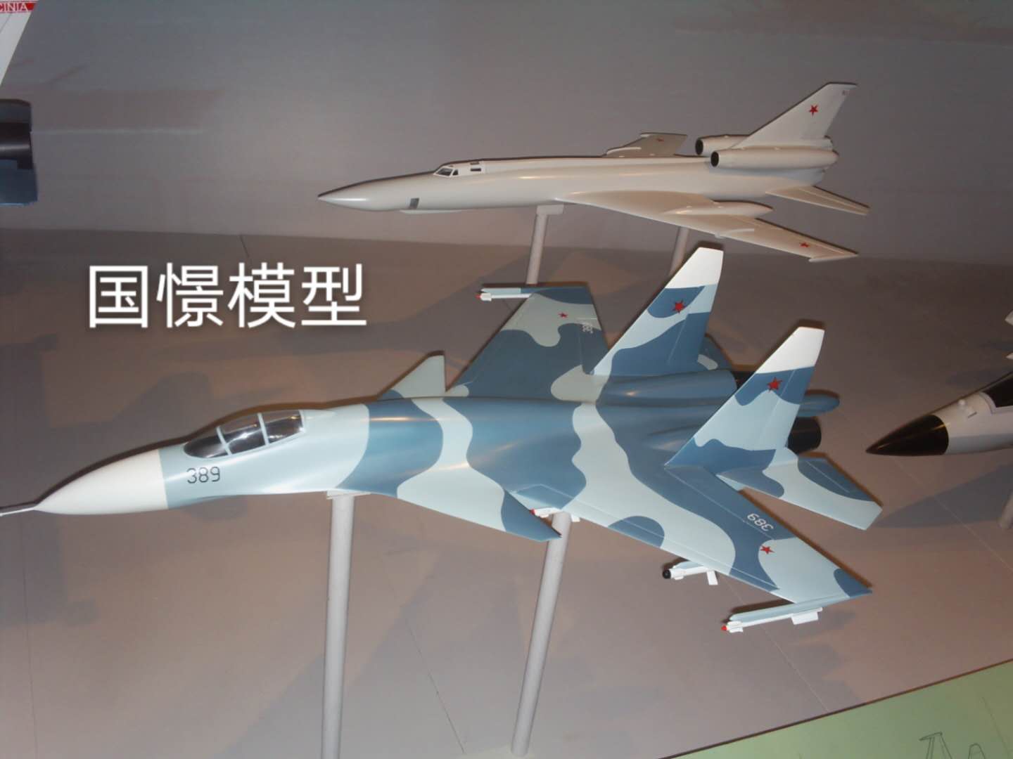 青浦区军事模型