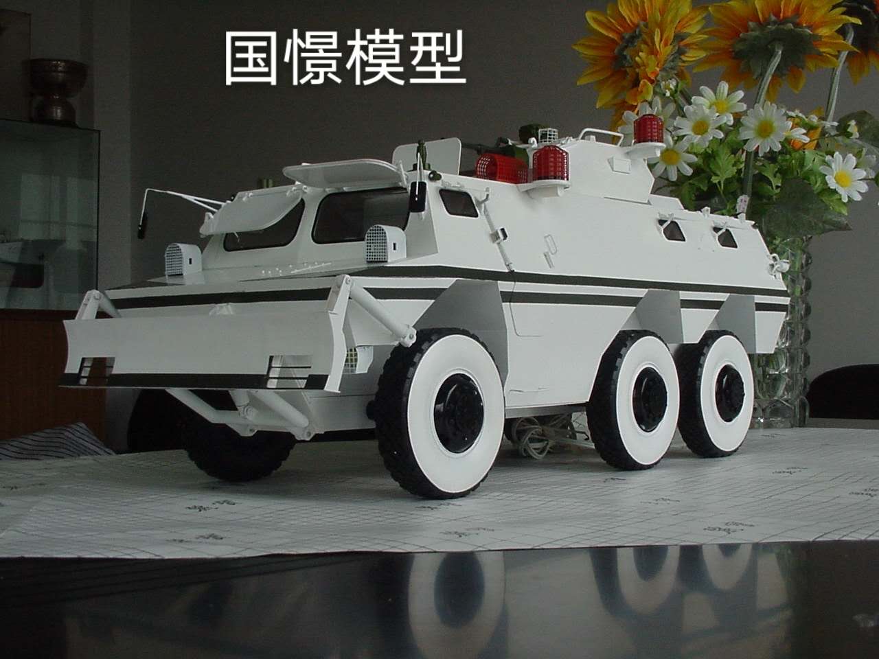 青浦区军事模型