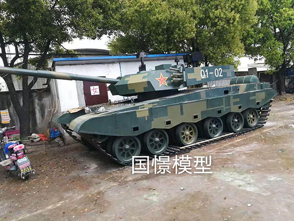 青浦区军事模型