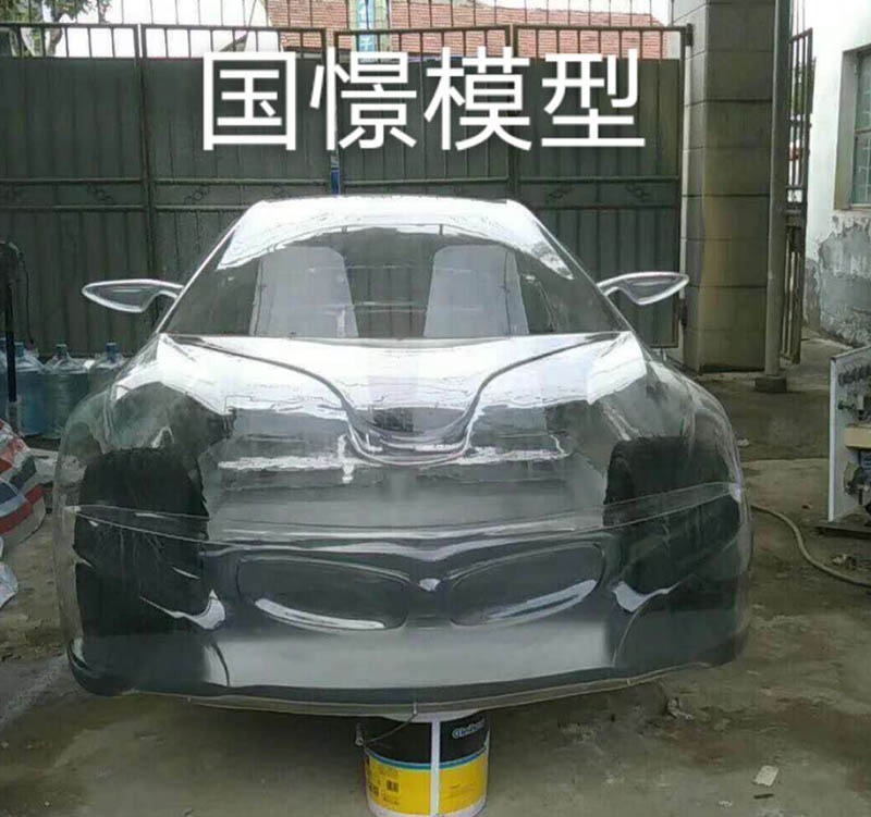 青浦区透明车模型