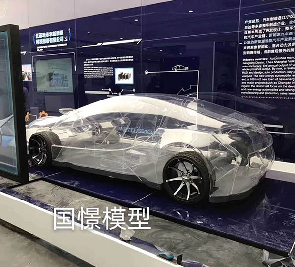 青浦区透明车模型