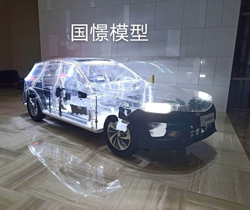 青浦区透明车模型