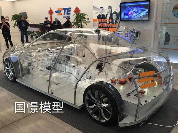 青浦区透明车模型